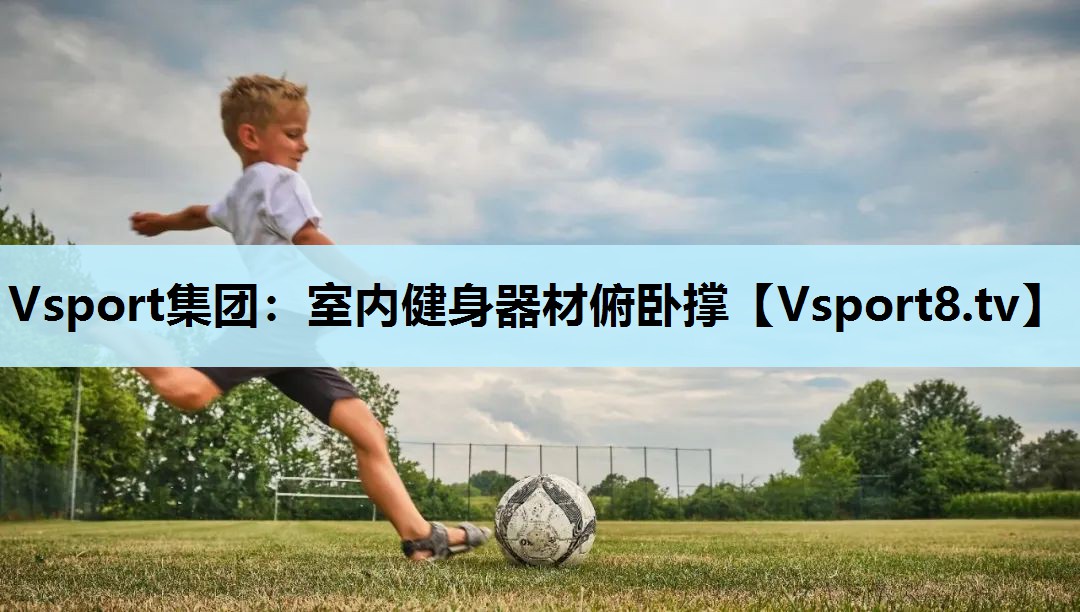 Vsport集团：室内健身器材俯卧撑