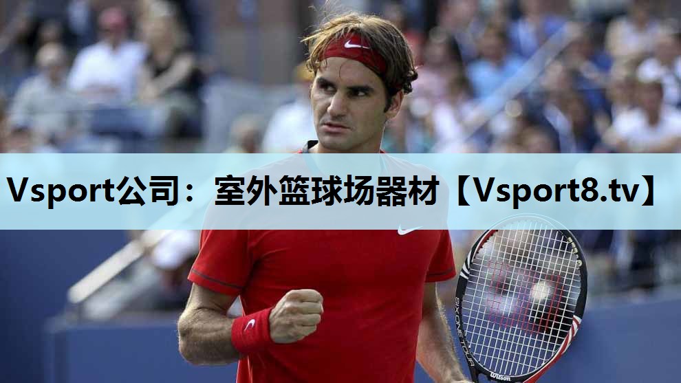 Vsport公司：室外篮球场器材