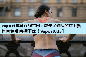 vsport体育在线官网：成年足球队器材山猫体育免费直播下载