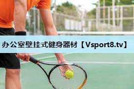 办公室壁挂式健身器材 办公室壁挂式健身器材