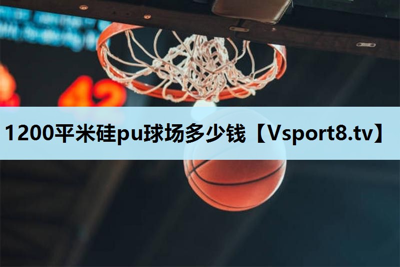 1200平米硅pu球场多少钱 1200平米硅pu球场多少钱