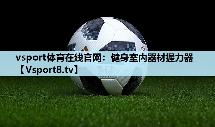 健身室内器材握力器 健身室内器材握力器