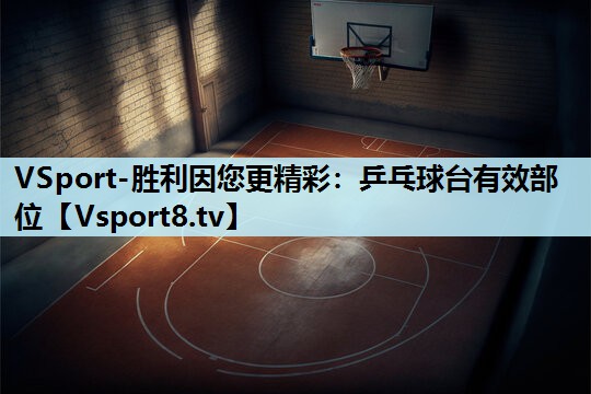 乒乓球台有效部位 乒乓球台有效部位