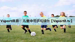 儿童中号乒乓球台 儿童中号乒乓球台