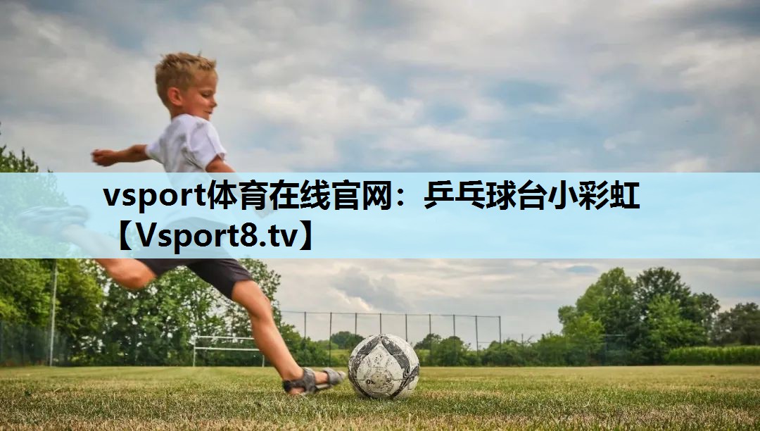 乒乓球台小彩虹 乒乓球台小彩虹