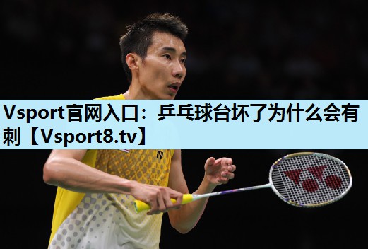 乒乓球台坏了为什么会有刺 乒乓球台坏了为什么会有刺