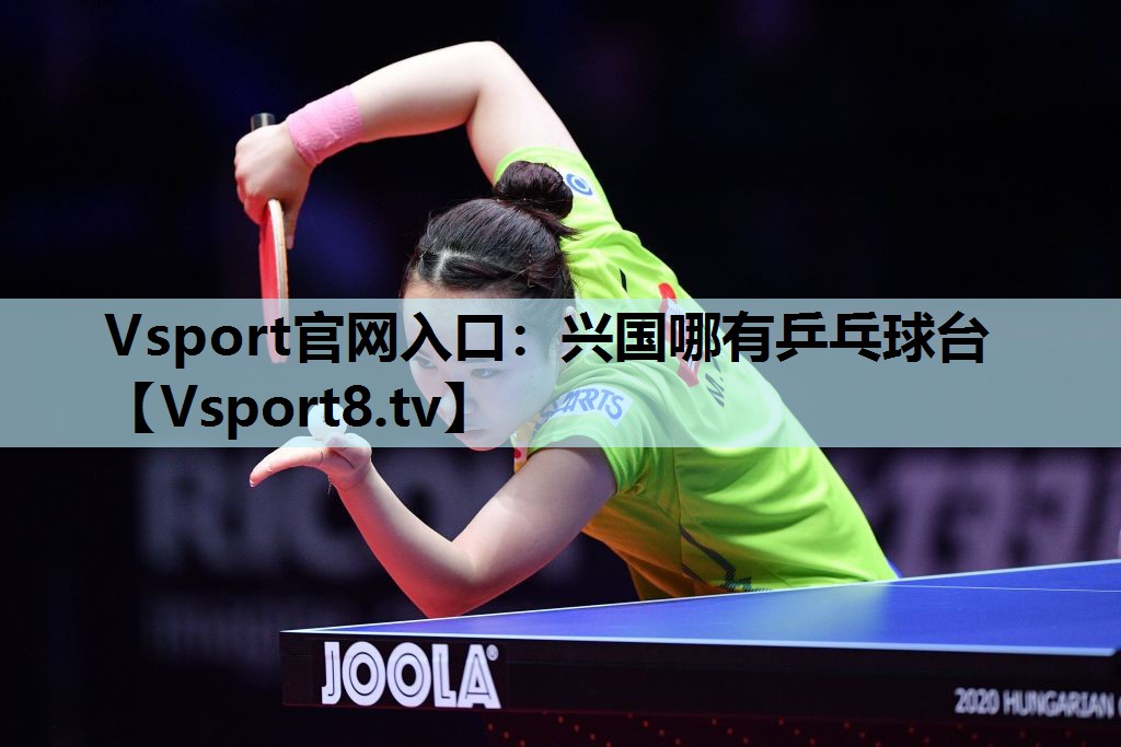 兴国哪有乒乓球台 兴国哪有乒乓球台